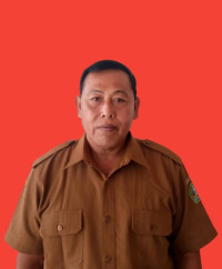 I WAYAN SUDINA