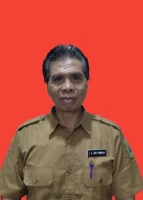 IDA BAGUS NYOMAN PARWATA