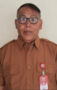 I WAYAN SUDINA